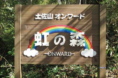 「土佐山 オンワード 〝虹の森〟」の森林保全活動を継続して実施